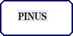 Okna PCV Krosno PINUS PINUS
